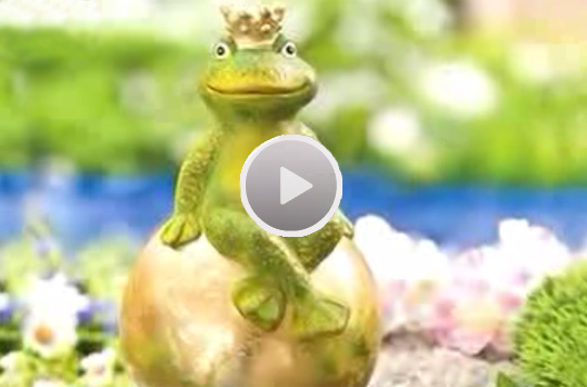 Märchenhafter Froschkönig