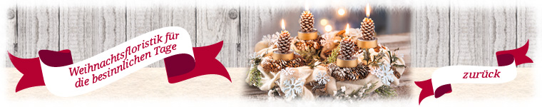 WS_Kat-SF_Weihnachtsfloristik_allgemein