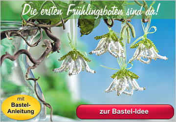 Die ersten Frühlingsboten sind da!
