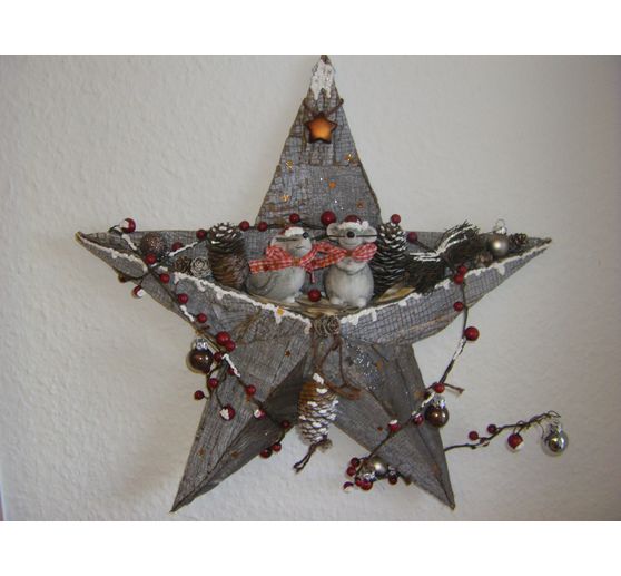 297_Jennyjen_Der Mäuse Weihnachtsstern_Kategorie Natur