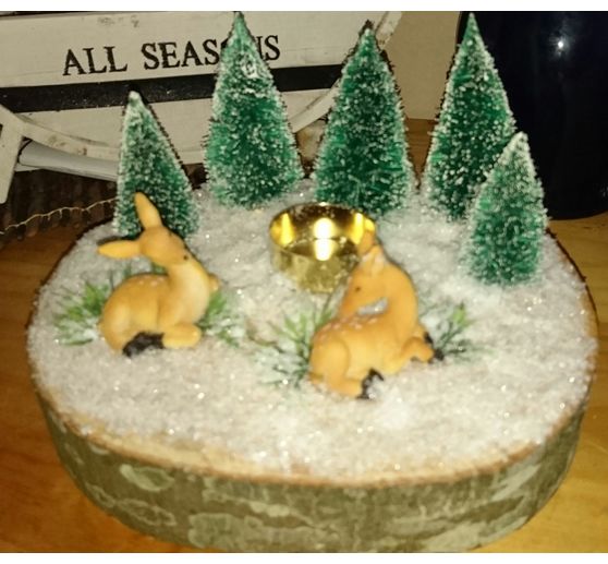 380_Dena_winterliche Holzscheibe_Kategorie Natur