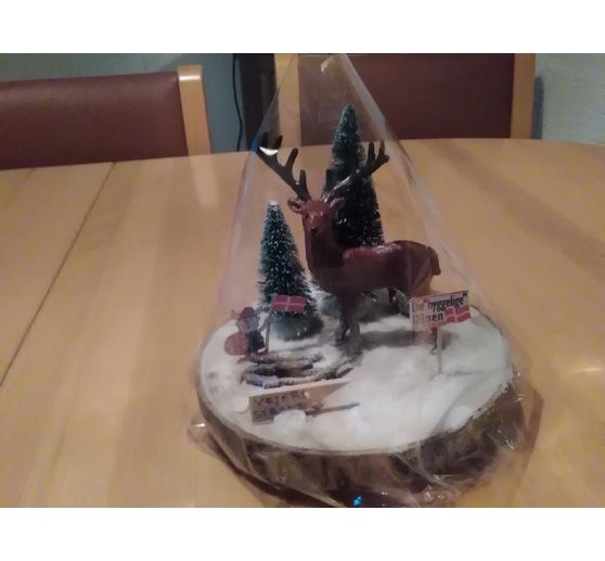 67_Gabi_Dänische Winterwelt