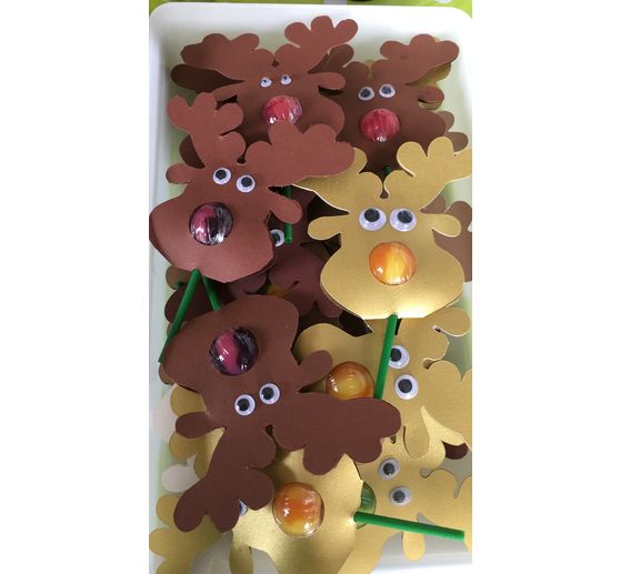 203_Shefft_Rudolph