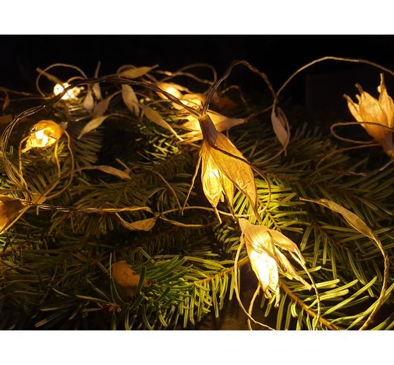226_Jenelyn_Lichterkette Winterblüte