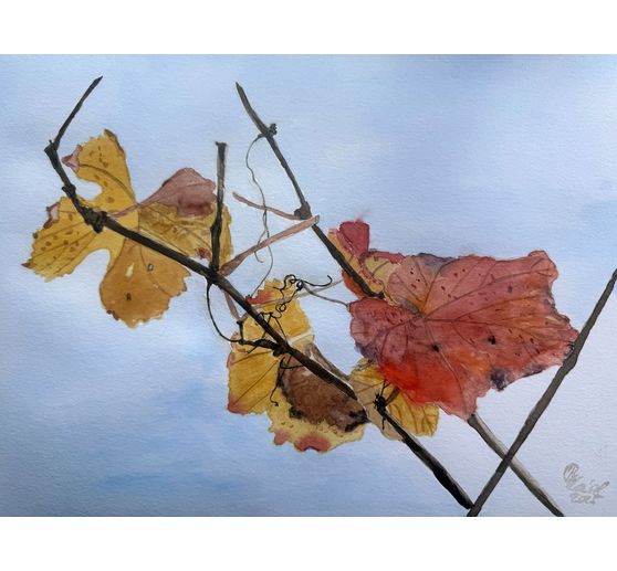 52_HAINZLART_Bl&auml;tter der Weinrebe im Herbst