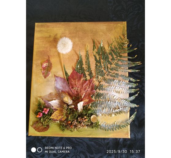 250_Blaschki_Herbstwald