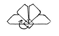 Butterfly folding step 7