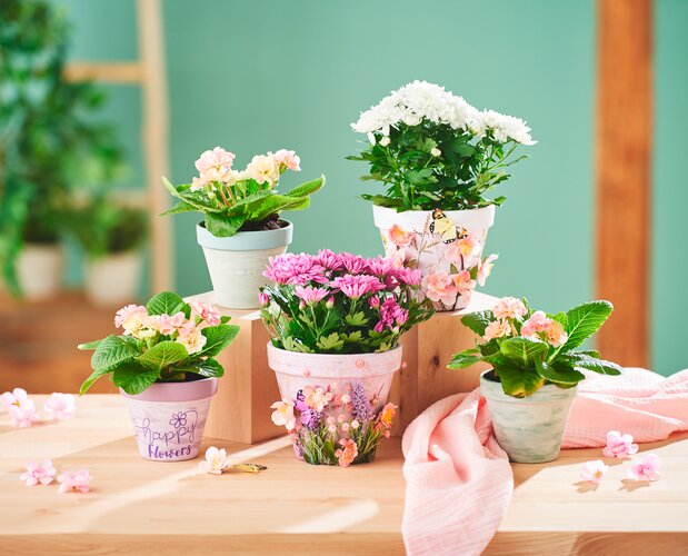  Blumentöpfe für den Frühling