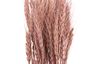 Trockenblumen "Wheat Grass", L ca. 65 - 70 cm