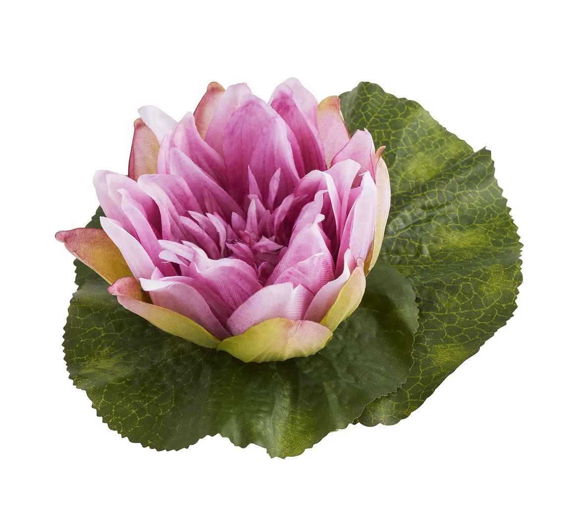 Seerose, schwimmend, ca. Ø 18 cm, Lavendel