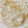 VBS Servietten-Lack "Glimmer", 100 ml Gold