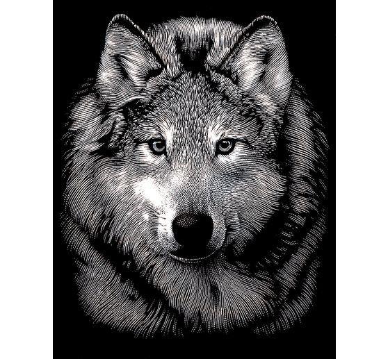 Scraper Classic Wolf