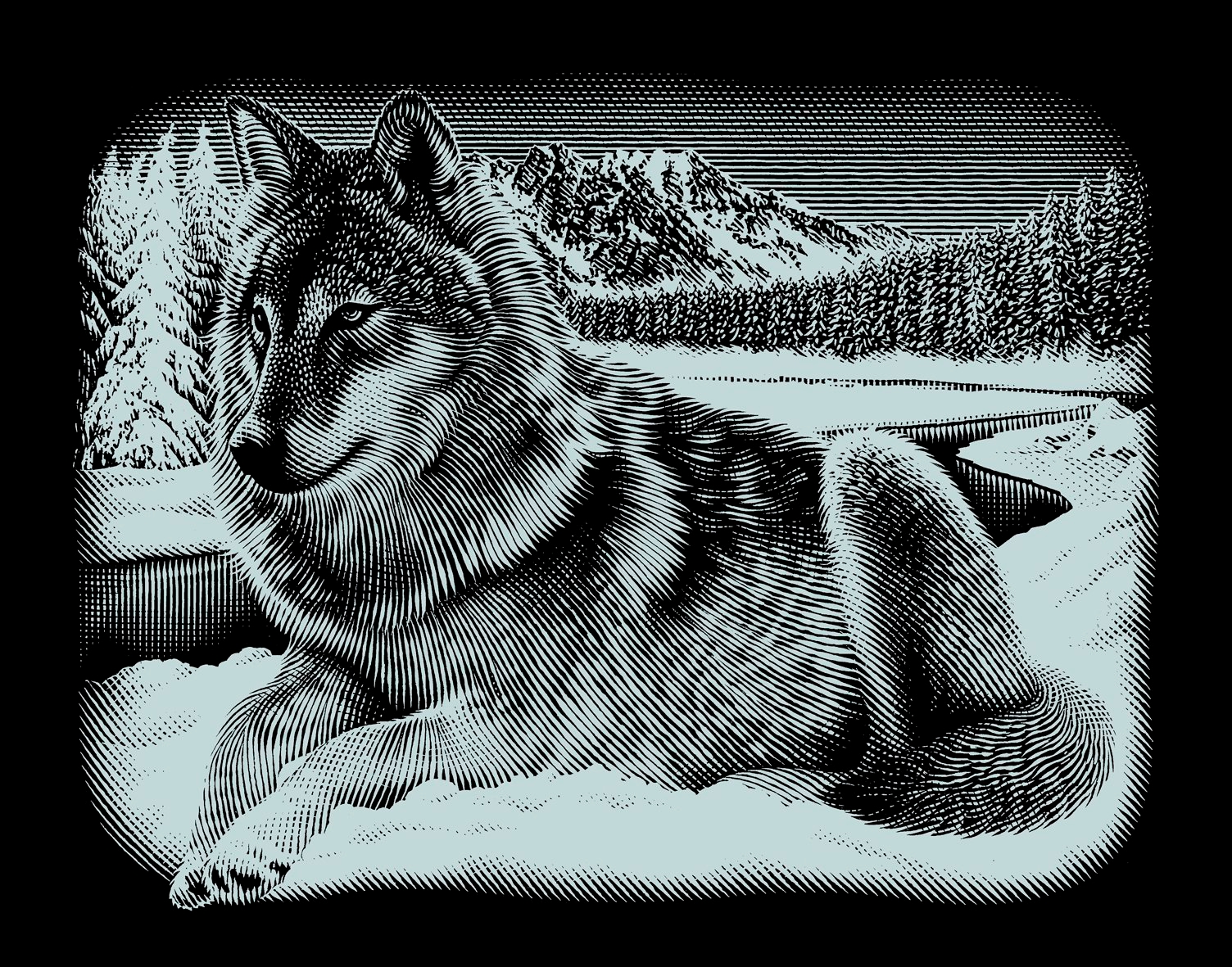 Kratzbild Kratzbilder heulender Wolf Kupferfolie Komplettset 20 cm x 25 cm 