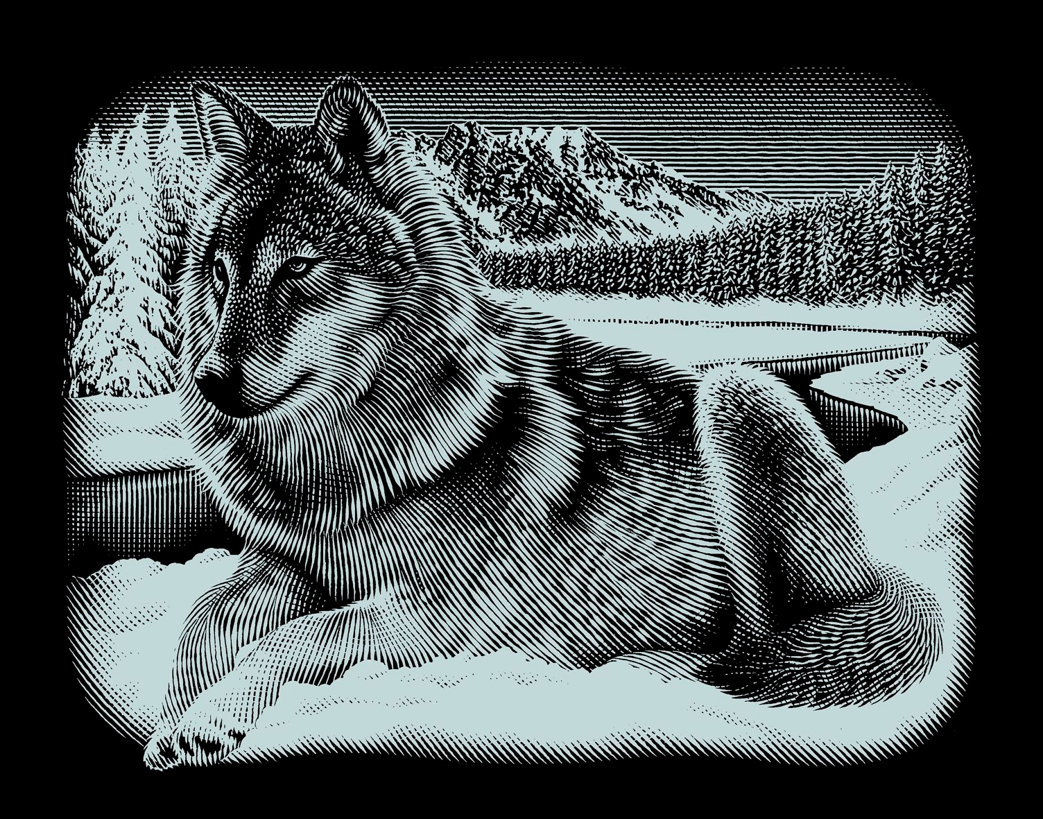 Kratzbild Kratzbilder heulender Wolf Kupferfolie Komplettset 20 cm x 25 cm Kratzbild Kratzbilder heulender Wolf Kupferfolie Komplettset 20 cm x 25 cm