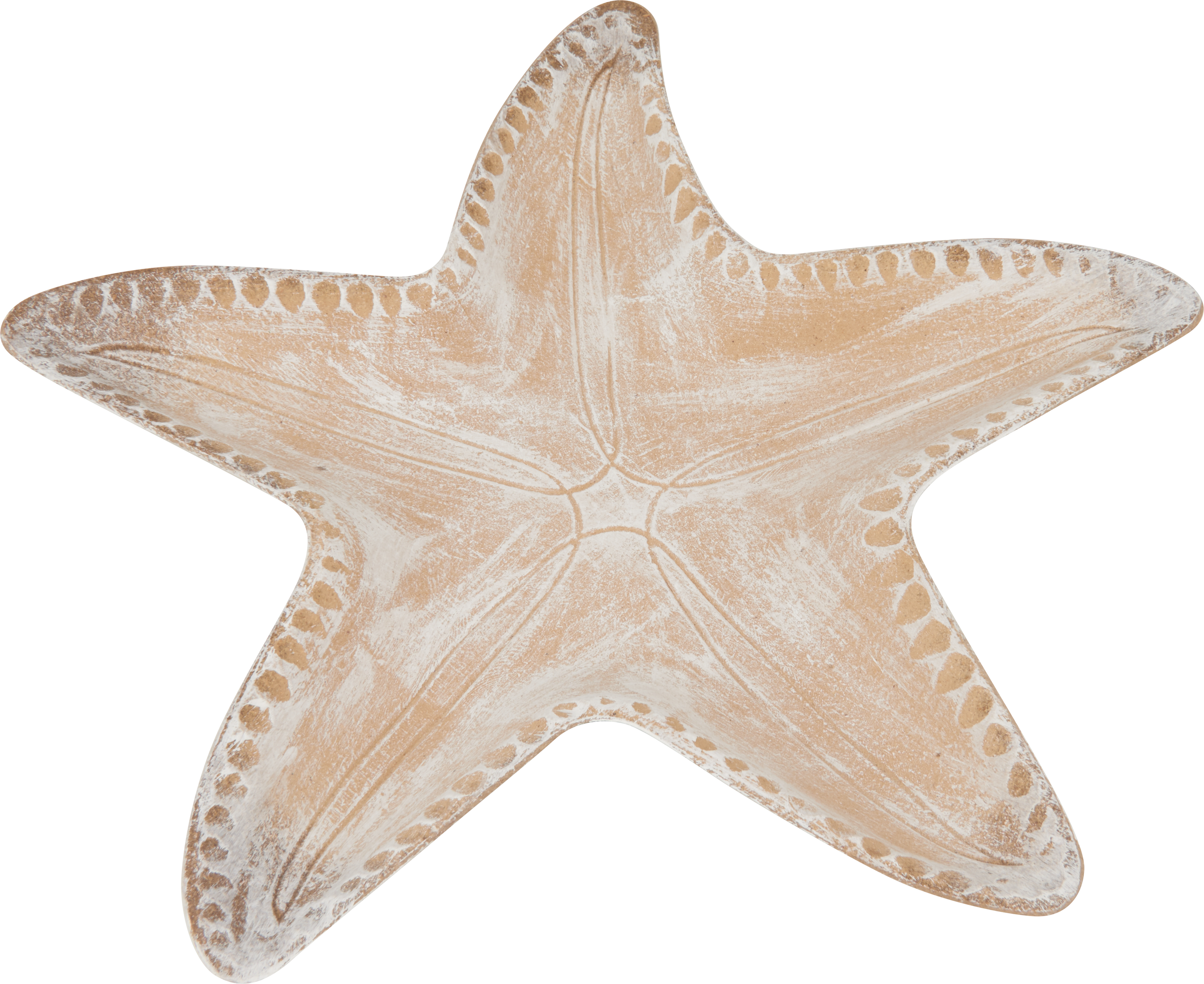 Einfaches Zeichnen von Seesternen