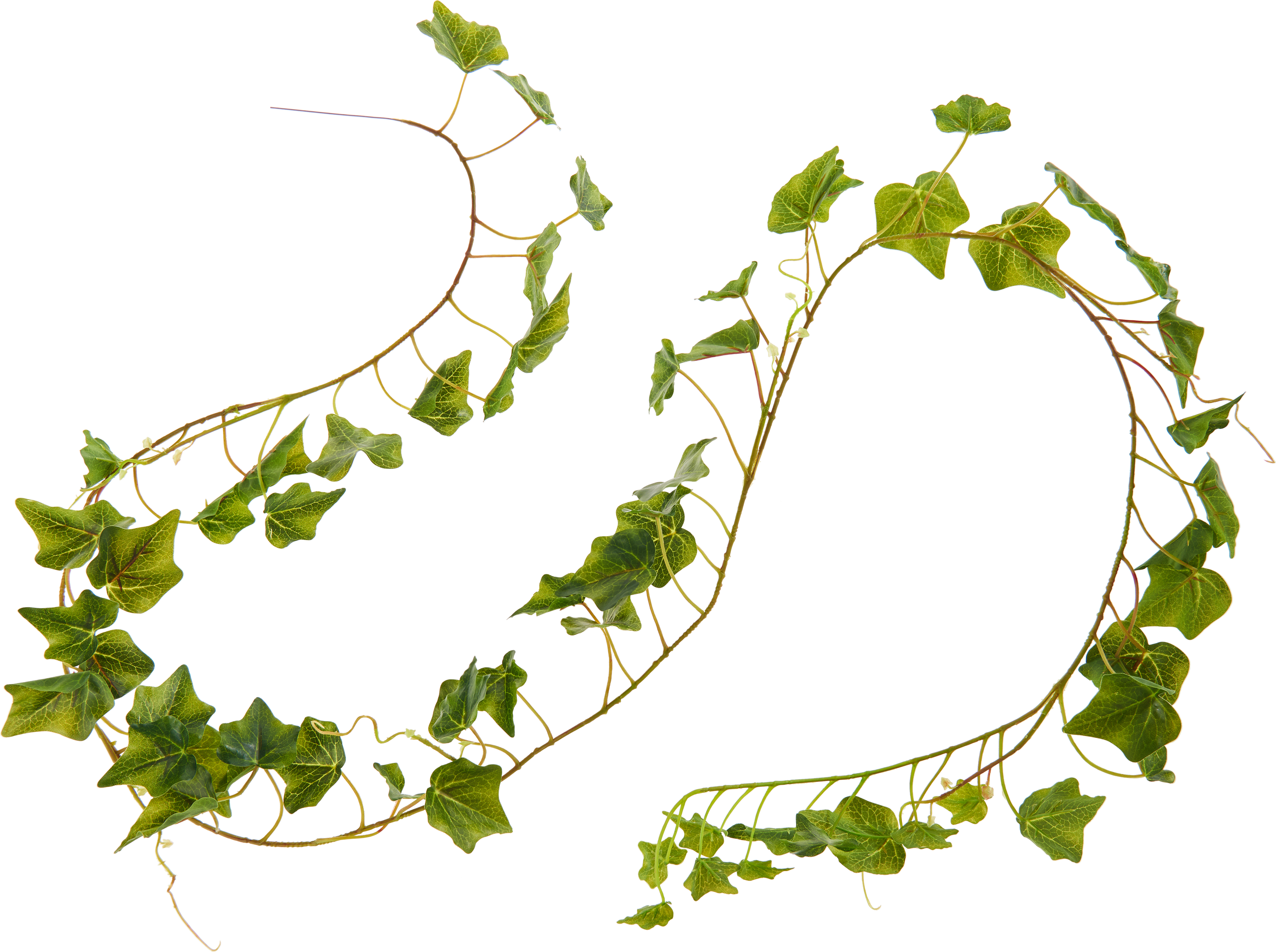 Efeugirlande "Greenery" | VBS Hobby Bastelshop