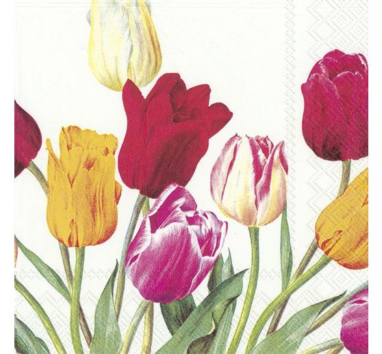 Serviette "Tulpen im Frühling"