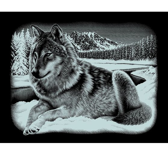 Kratzbild Kratzbilder heulender Wolf Kupferfolie Komplettset 20 cm x 25 cm 
