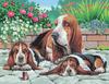Malen nach Zahlen "Bassethunde"