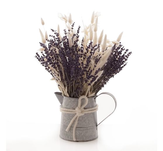 Lavendel natur blau