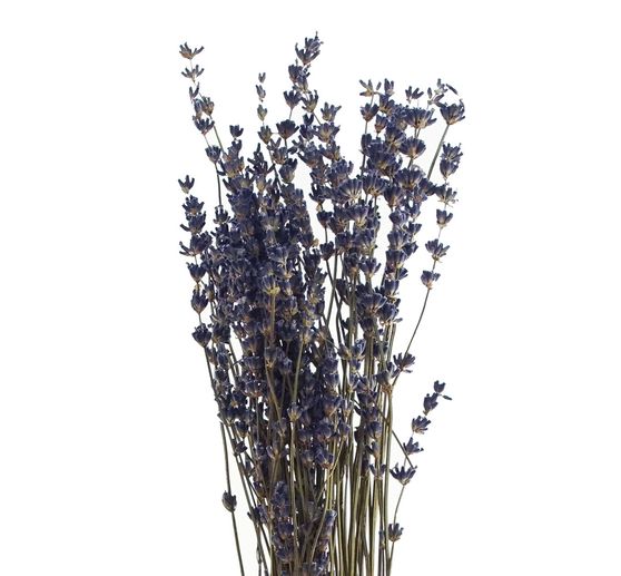 Lavendel natur blau