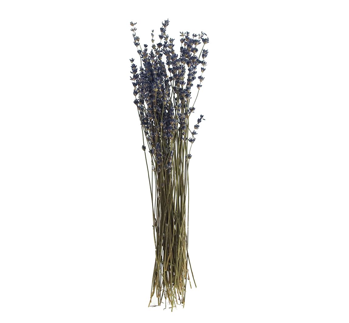 Lavendel natur blau