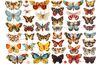 Vintage-Glanzbilder "Schmetterlinge"