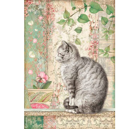 Motiv-Strohseide "Katze und Orchidee"