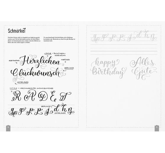 Buch "Handlettering. Übungsbuch der Schmuckelemente"