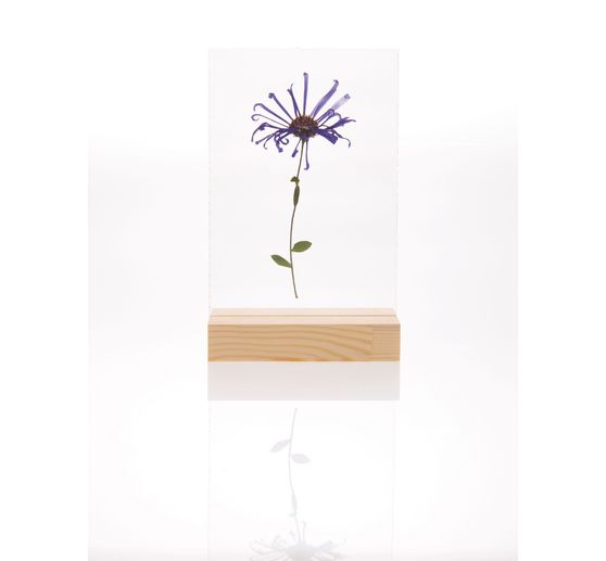 Rico Design Holzaufsteller mit doppelter Acrylscheibe, 10 x 15 cm