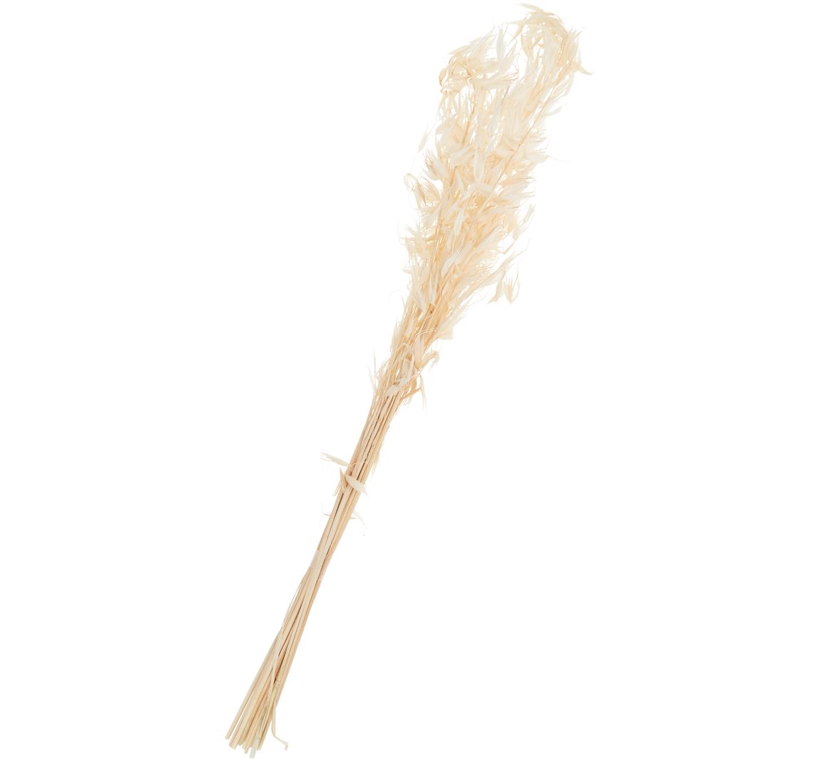 Wildhafer gebleicht
