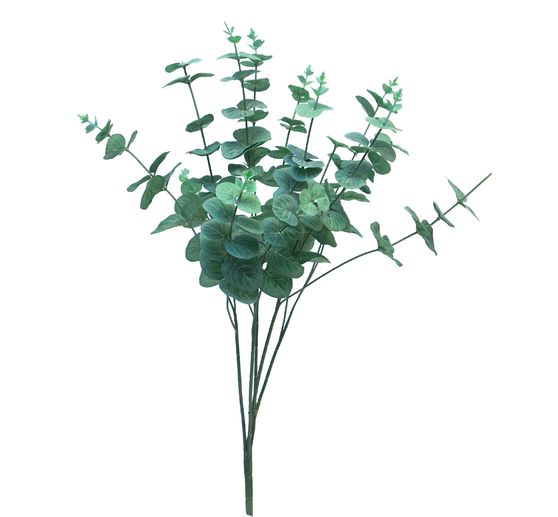 Eukalyptus Bund "Cinera"