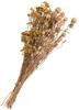 Trockenblumen Set "Distel"