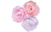 Sizzix Bigz Stanzschablone "Cabbage Rose"