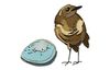 Sizzix Thinlits Stanzschablone "Bird & Egg Colorize by Tim Holtz"