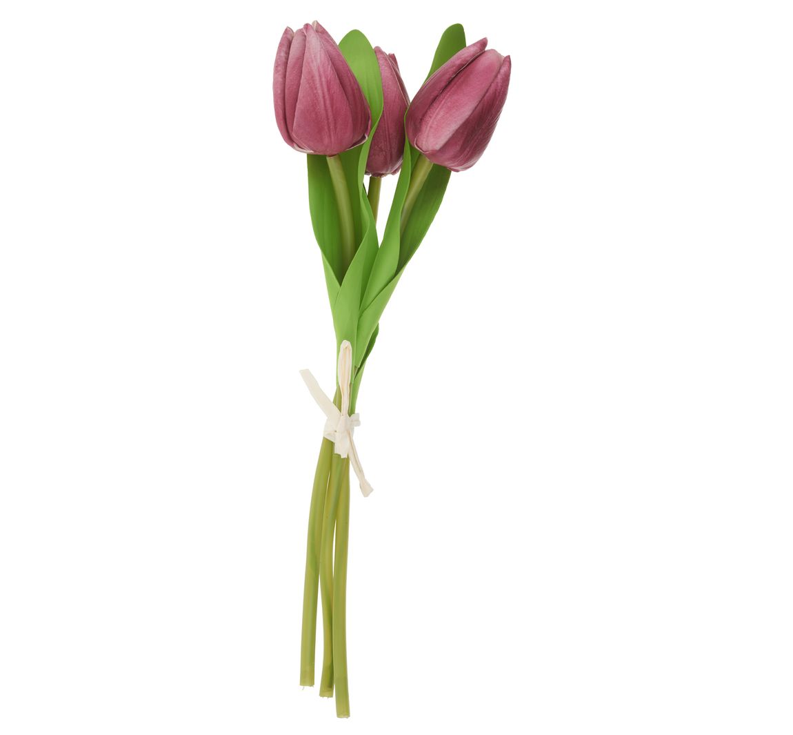 VBS Tulpe "Tammie" - Pink