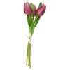 VBS Tulpe "Tammie" Pink