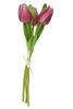 VBS Tulpe "Tammie"