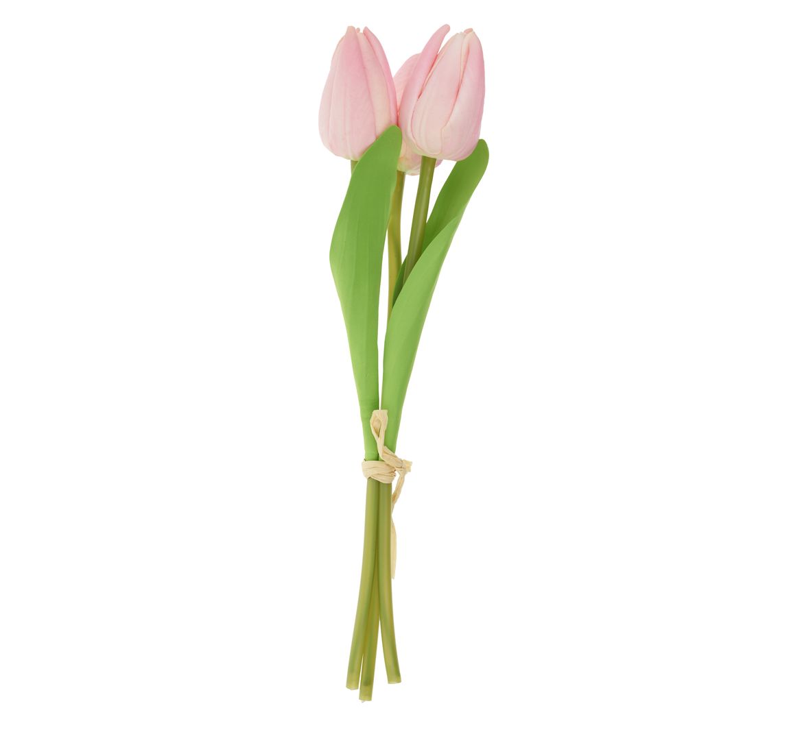 VBS Tulpe "Tammie" - Rosa