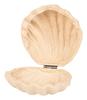 Muschelbox, Pappmaché