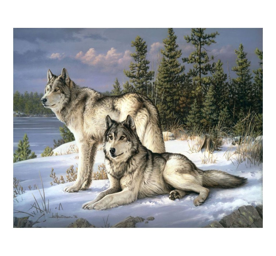 Malen nach Zahlen Wolfspaar
