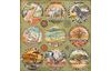 Scrapbook-Block "Savana"
