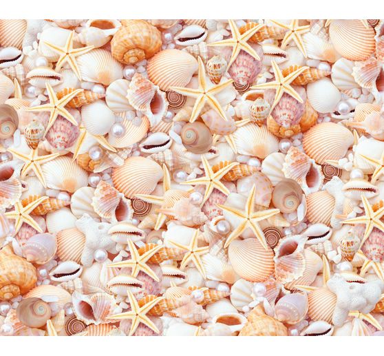 Motiv-Fotokarton "Muscheln"