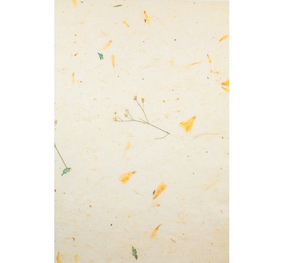 Naturpapiere "Daisy"