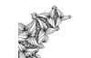 Buch "Zentangle®. Der Quick-Start-Block"