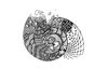 Buch "Zentangle®. Der Quick-Start-Block"