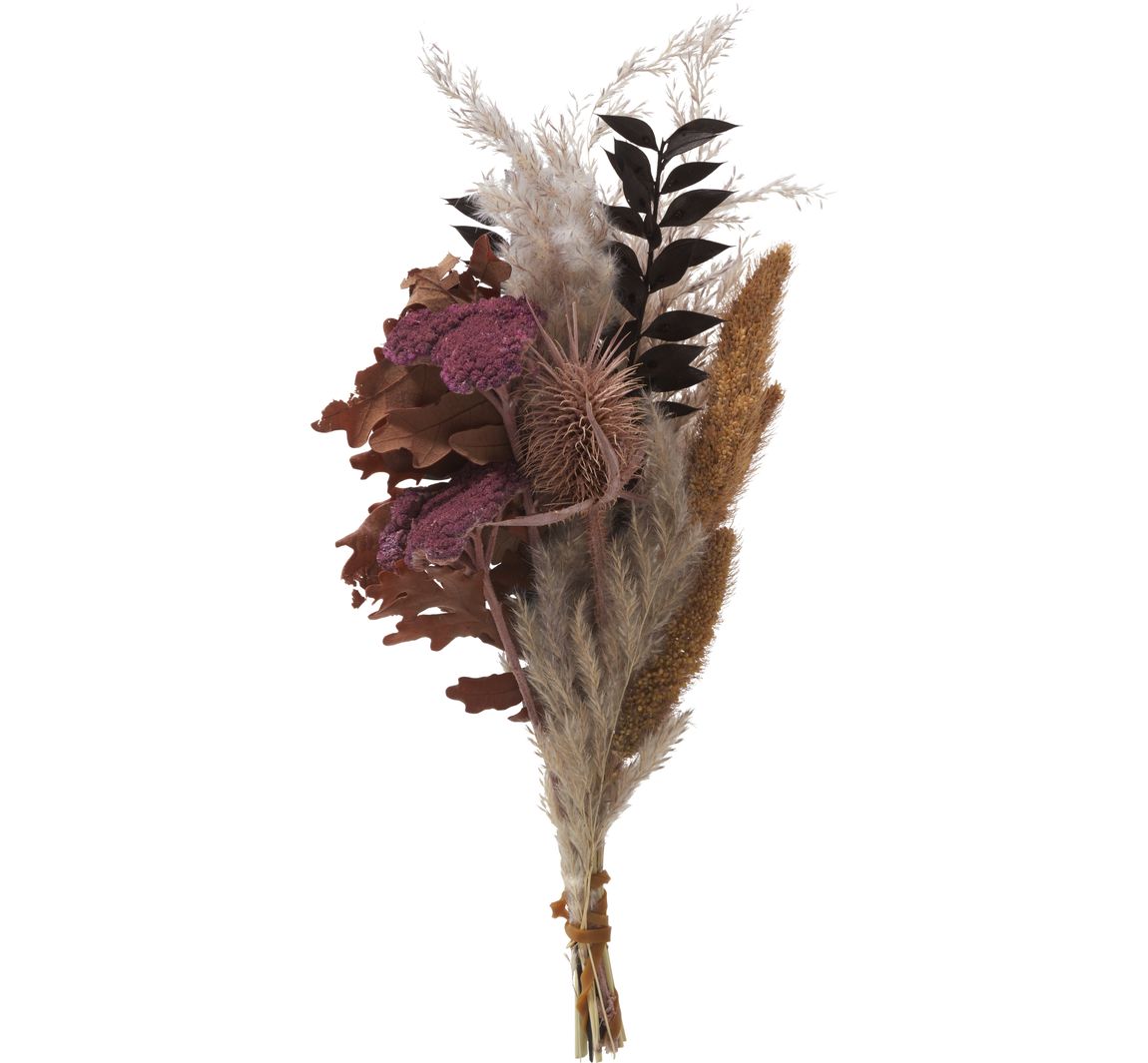 Trockenblumen Set Lilac