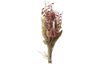 Trockenblumen Set "Pearl Pink"
