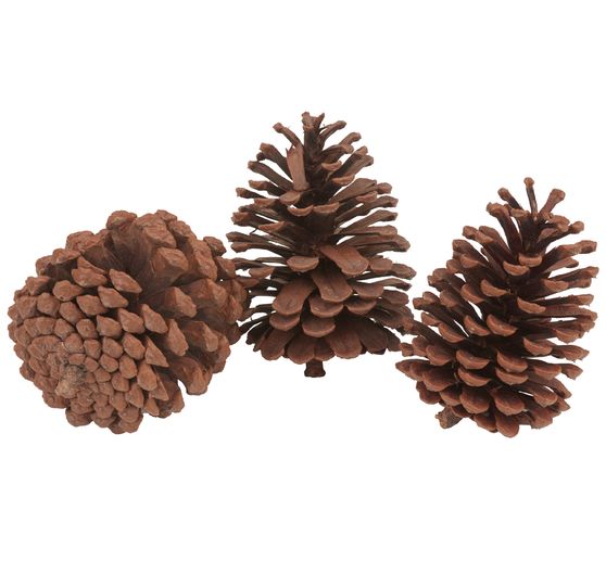 VBS Pine cone, 3 pieces