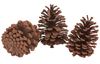 VBS Pine cone, 3 pieces